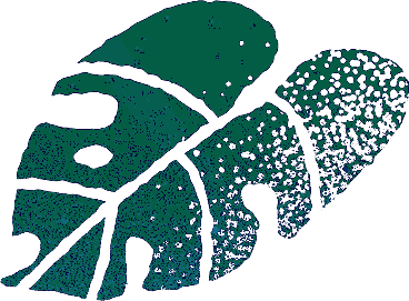 Hoja inferior izquierda