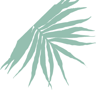 Planta lateral derecha del panel