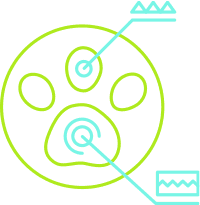 Interfaz holografica derecha