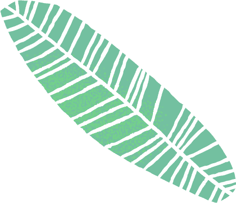 Hoja superior izquierda