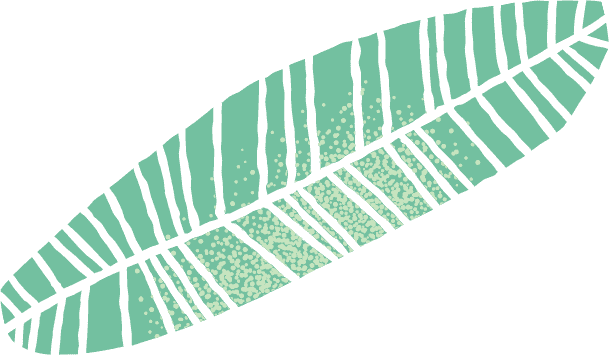 Hoja superior derecha