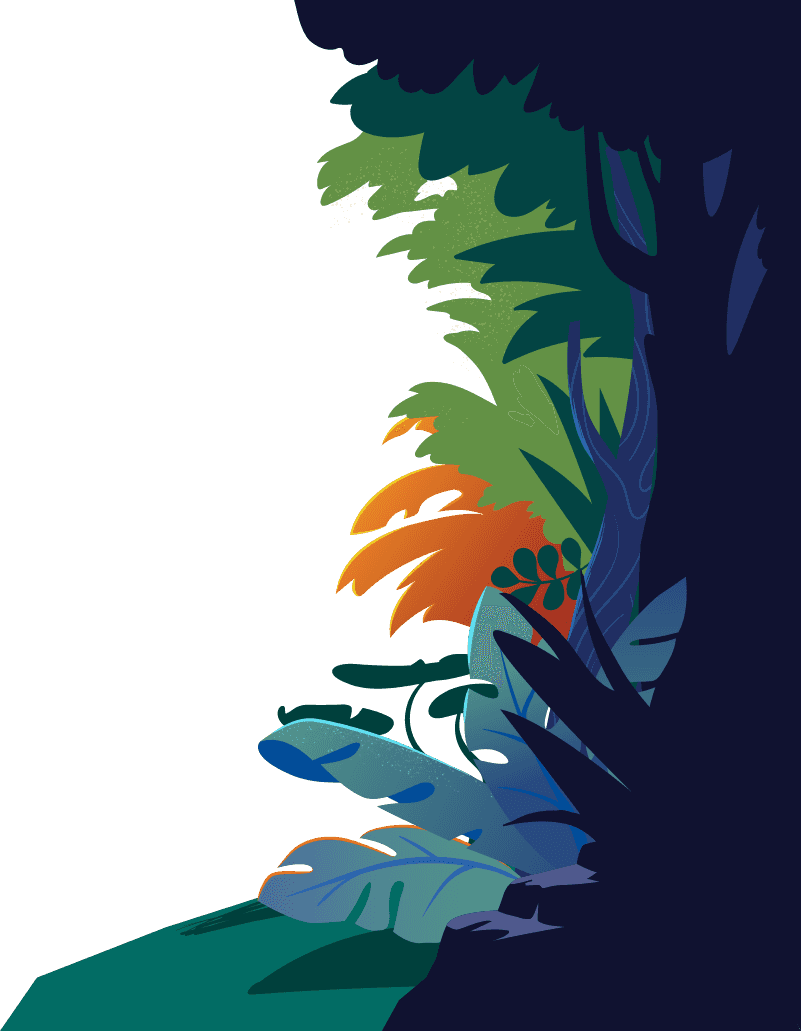 Borde derecho de selva