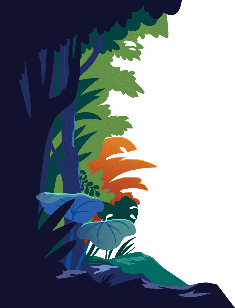 Borde izquierdo de selva