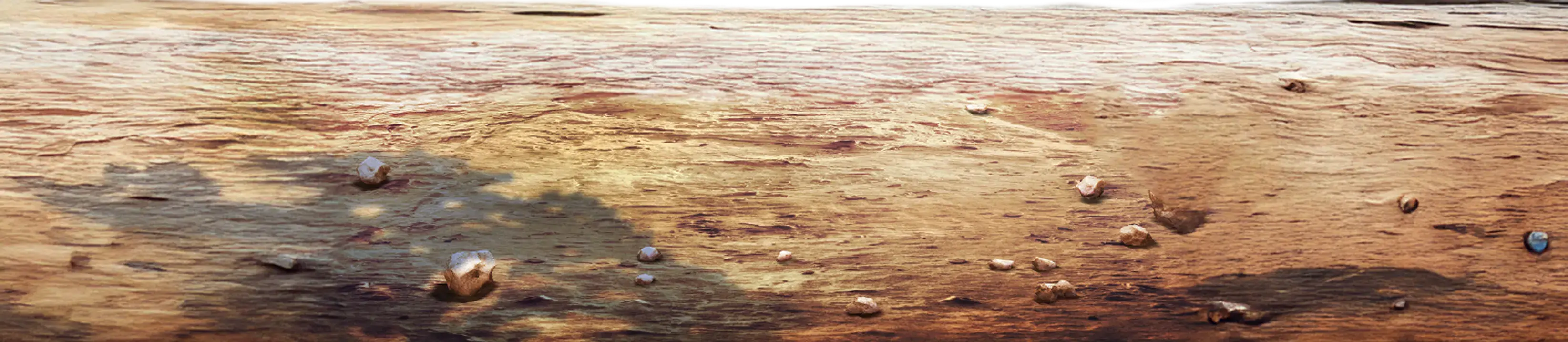 Paisaje tropical de fondo