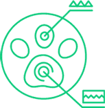 Icono decorativo derecho