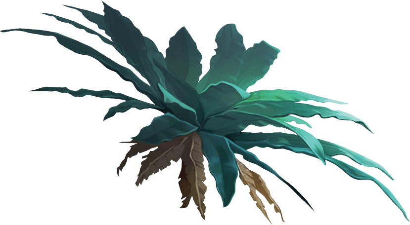 Planta izquierda del marco rojo