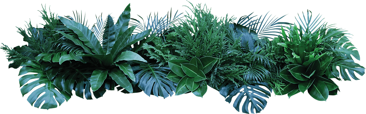 Vegetacion frontal del marco rojo