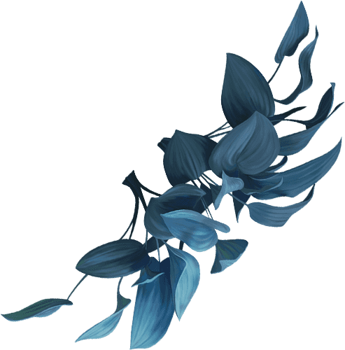 Planta superior azul del marco rojo