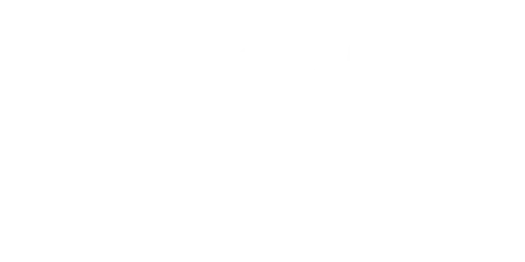 Bluey-le-jeu-video-logo-FR